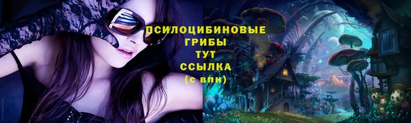 2c-b Алексин